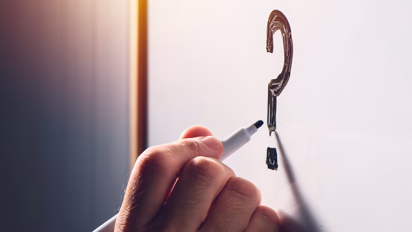 
<span>Nos meilleurs conseils aux débutants (et la masterclass)</span>
